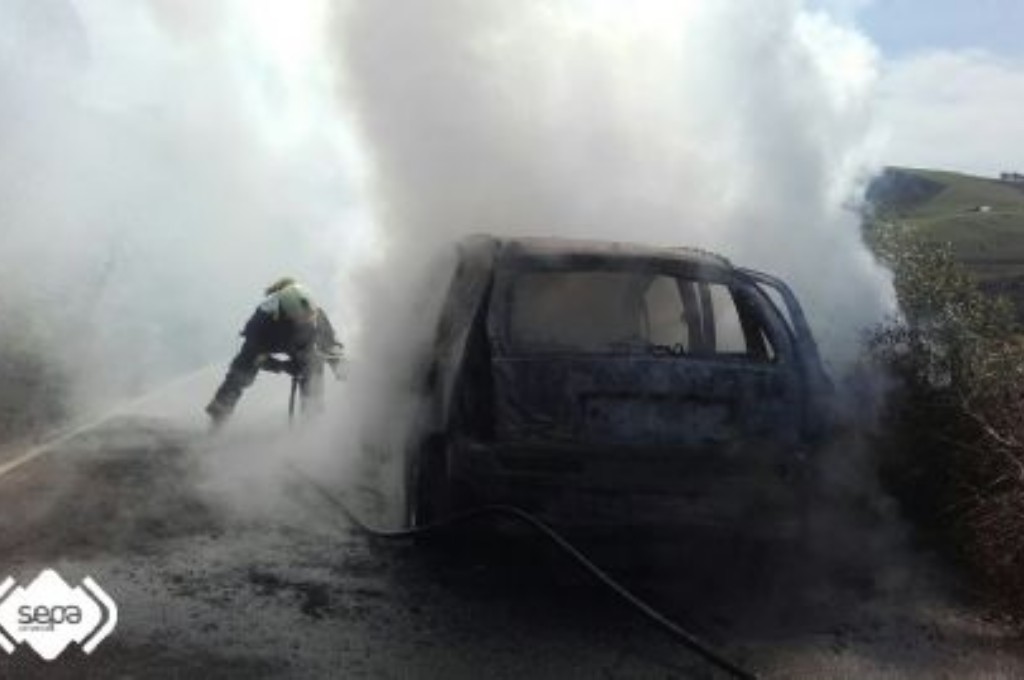 Extincin incendio coche en Cangas del Narcea.