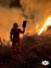 Intervención de Bomberos del SEPA en un un incendio forestal